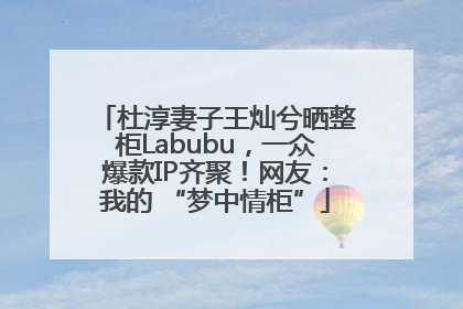 杜淳妻子王灿兮晒整柜Labubu，一众爆款IP齐聚！网友：我的 “梦中情柜”