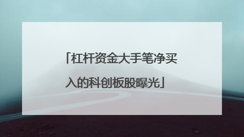 杠杆资金大手笔净买入的科创板股曝光