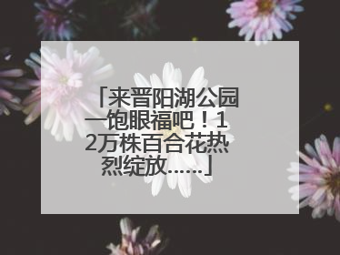 来晋阳湖公园一饱眼福吧！12万株百合花热烈绽放……