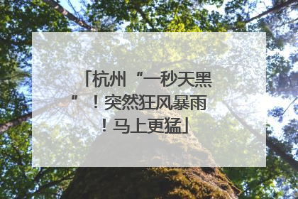 杭州“一秒天黑”！突然狂风暴雨！马上更猛
