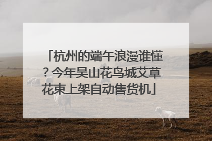 杭州的端午浪漫谁懂？今年吴山花鸟城艾草花束上架自动售货机