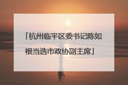 杭州临平区委书记陈如根当选市政协副主席