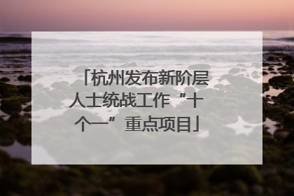 杭州发布新阶层人士统战工作“十个一”重点项目