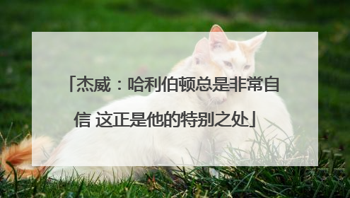 杰威：哈利伯顿总是非常自信 这正是他的特别之处