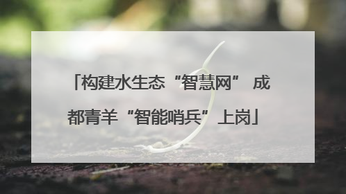 构建水生态“智慧网” 成都青羊“智能哨兵”上岗