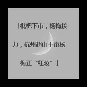 枇杷下市，杨梅接力，杭州超山千亩杨梅正“红妆”