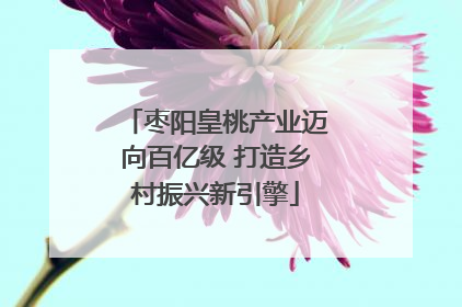 枣阳皇桃产业迈向百亿级 打造乡村振兴新引擎