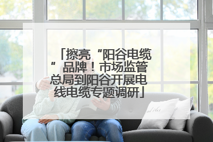 擦亮“阳谷电缆”品牌！市场监管总局到阳谷开展电线电缆专题调研