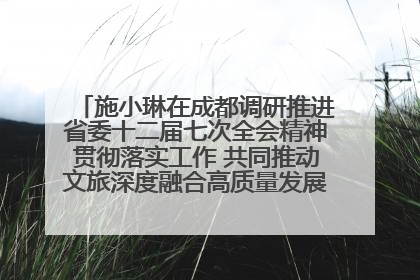 施小琳在成都调研推进省委十二届七次全会精神贯彻落实工作 共同推动文旅深度融合高质量发展 加快打造支柱产业民生产业幸福产业