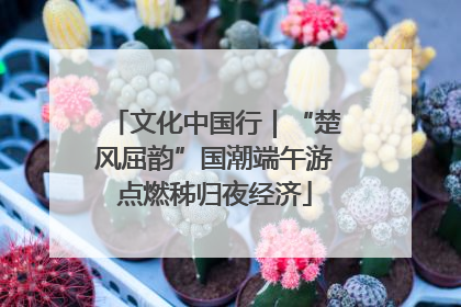 文化中国行｜“楚风屈韵”国潮端午游点燃秭归夜经济