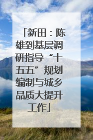 新田：陈雄到基层调研指导“十五五”规划编制与城乡品质大提升工作