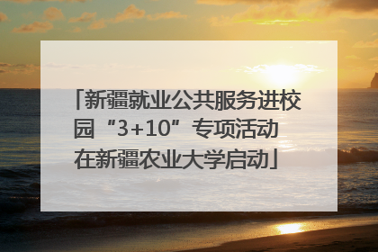 新疆就业公共服务进校园“3+10”专项活动在新疆农业大学启动