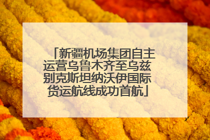 新疆机场集团自主运营乌鲁木齐至乌兹别克斯坦纳沃伊国际货运航线成功首航
