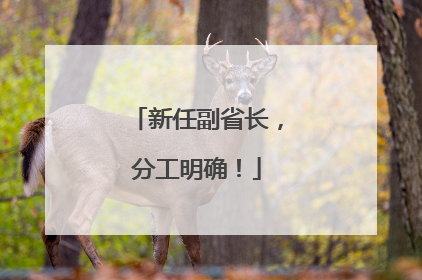 新任副省长，分工明确！