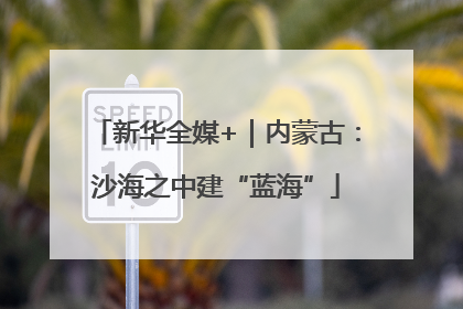 新华全媒+｜内蒙古：沙海之中建“蓝海”