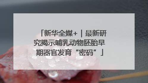新华全媒+｜最新研究揭示哺乳动物胚胎早期器官发育“密码”