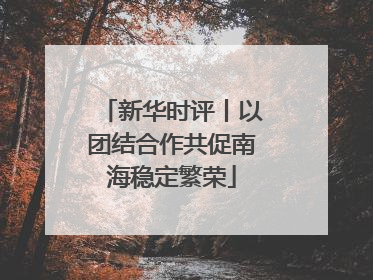 新华时评丨以团结合作共促南海稳定繁荣