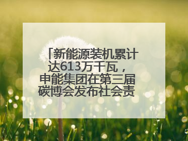 新能源装机累计达613万千瓦，申能集团在第三届碳博会发布社会责任报告