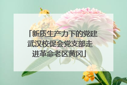 新质生产力下的党建 武汉校促会党支部走进革命老区黄冈