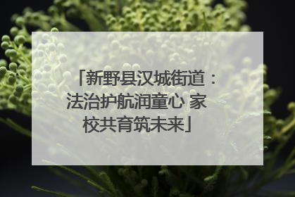 新野县汉城街道：法治护航润童心 家校共育筑未来