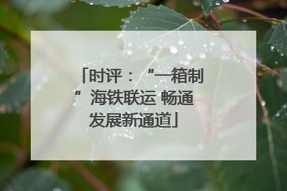 时评：“一箱制”海铁联运 畅通发展新通道