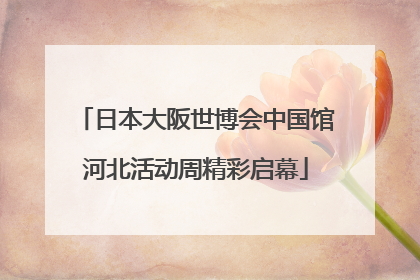 日本大阪世博会中国馆河北活动周精彩启幕