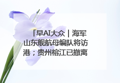 早AI大众｜海军山东舰航母编队将访港；贵州榕江已撤离转移群众超4万人