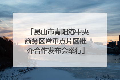 昆山市青阳港中央商务区暨重点片区推介合作发布会举行