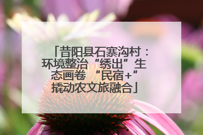 昔阳县石寨沟村：环境整治“绣出”生态画卷 “民宿+”撬动农文旅融合