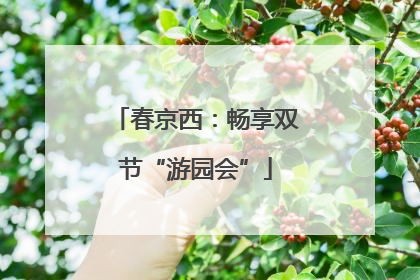 春京西：畅享双节“游园会”