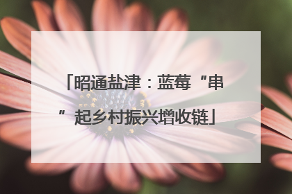昭通盐津：蓝莓“串”起乡村振兴增收链