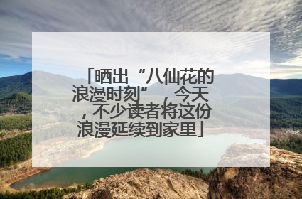 晒出“八仙花的浪漫时刻”，今天，不少读者将这份浪漫延续到家里