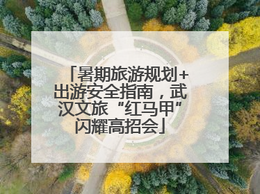 暑期旅游规划+出游安全指南，武汉文旅“红马甲”闪耀高招会
