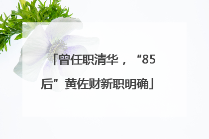 曾任职清华，“85后”黄佐财新职明确