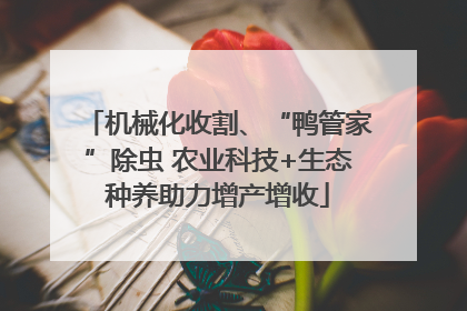 机械化收割、“鸭管家”除虫 农业科技+生态种养助力增产增收