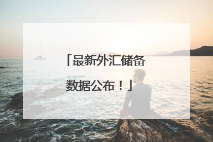 最新外汇储备数据公布！
