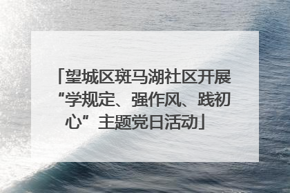 望城区斑马湖社区开展“学规定、强作风、践初心”主题党日活动