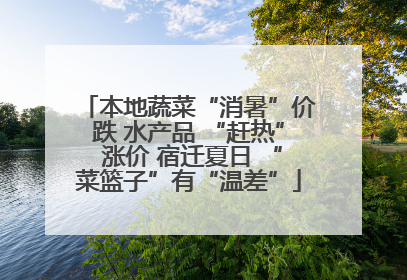 本地蔬菜“消暑”价跌 水产品 “赶热” 涨价 宿迁夏日 “菜篮子”有“温差”