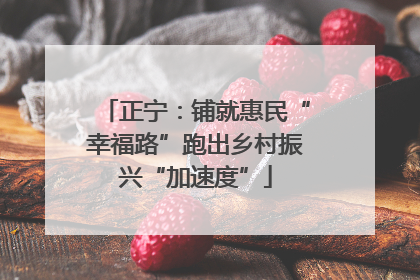 正宁：铺就惠民“幸福路”跑出乡村振兴“加速度”