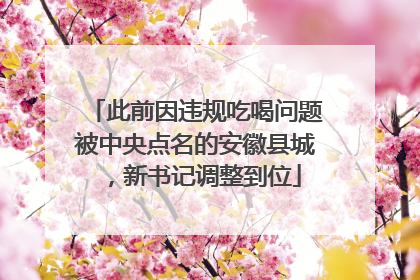 此前因违规吃喝问题被中央点名的安徽县城，新书记调整到位