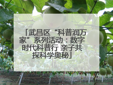 武昌区“科普润万家”系列活动：数字时代科普行 亲子共探科学奥秘