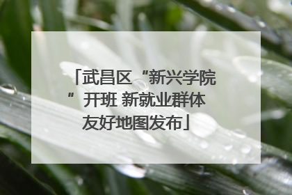 武昌区“新兴学院”开班 新就业群体友好地图发布