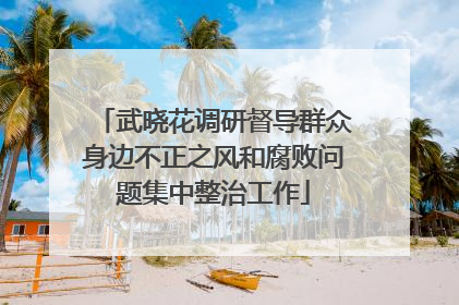 武晓花调研督导群众身边不正之风和腐败问题集中整治工作