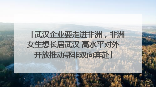 武汉企业要走进非洲，非洲女生想长居武汉 高水平对外开放推动鄂非双向奔赴