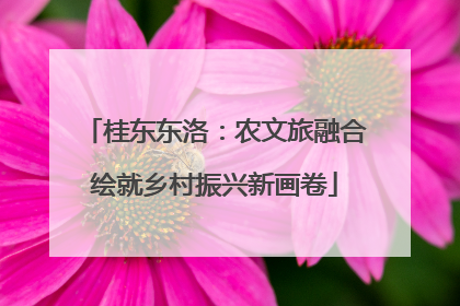 桂东东洛：农文旅融合绘就乡村振兴新画卷