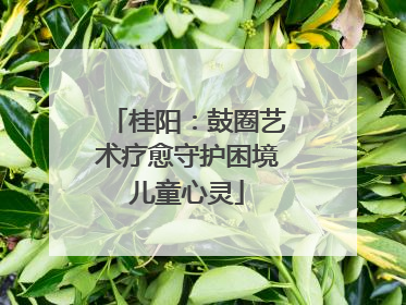 桂阳：鼓圈艺术疗愈守护困境儿童心灵