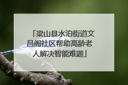 梁山县水泊街道文昌阁社区帮助高龄老人解决智能难题