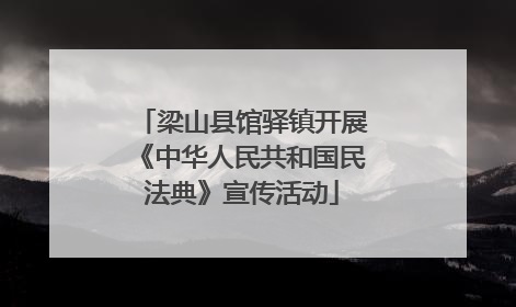 梁山县馆驿镇开展《中华人民共和国民法典》宣传活动