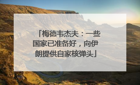 梅德韦杰夫：一些国家已准备好，向伊朗提供自家核弹头