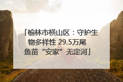 榆林市横山区：守护生物多样性 29.5万尾鱼苗“安家”无定河